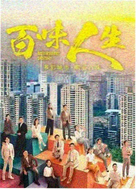电视剧雾港谜案高清海报